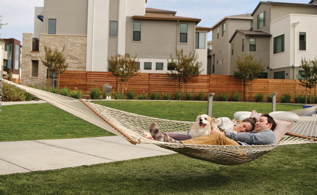 A couple napping in a hammock with their dog
